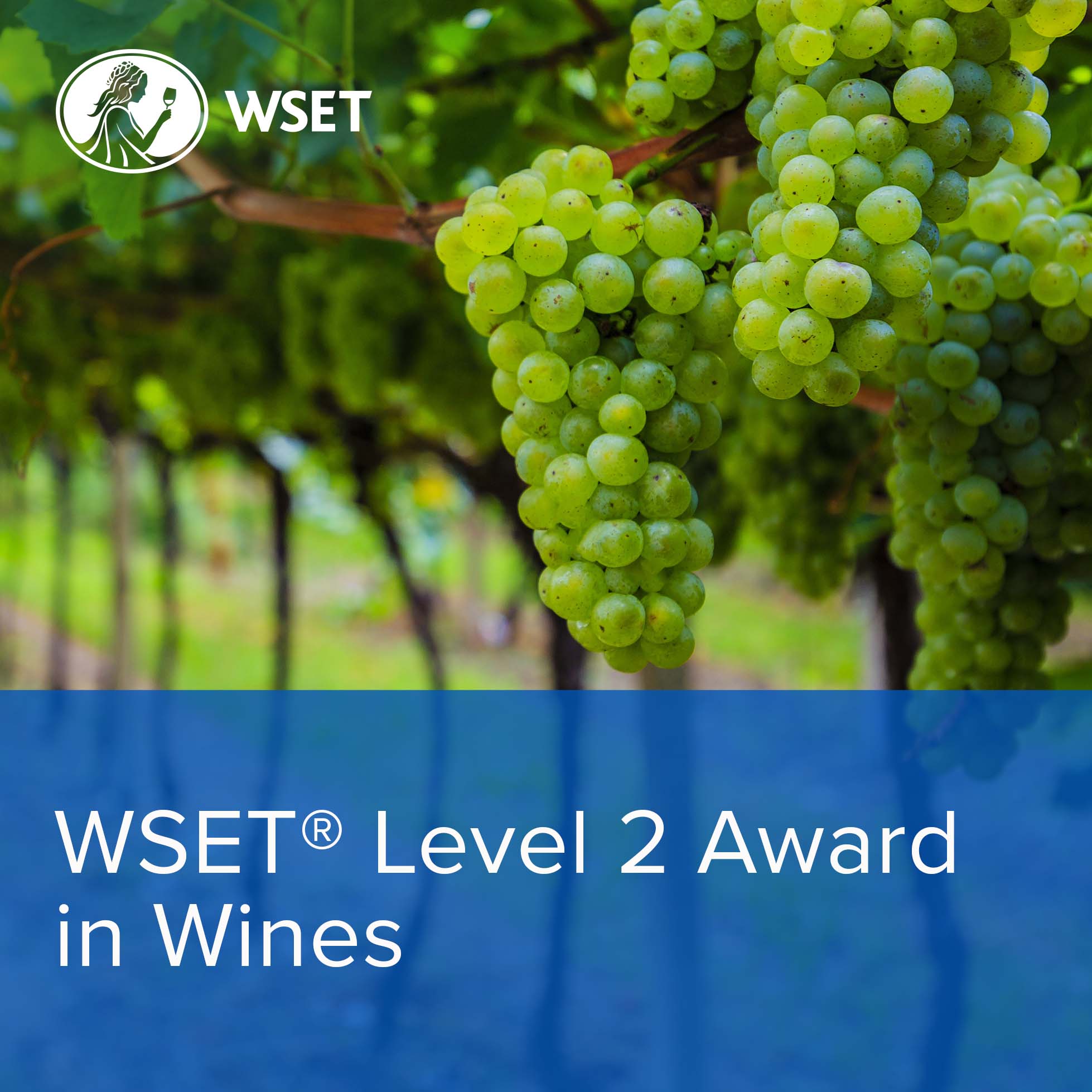 WSET level 2